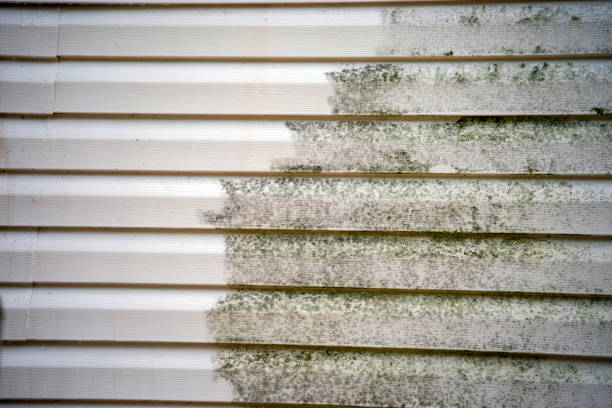  Cypress, CA Siding Installation Pros